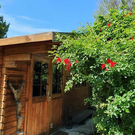 La Cabane du Pesquier en Provence Caumont-sur-Durance Extérieur photo