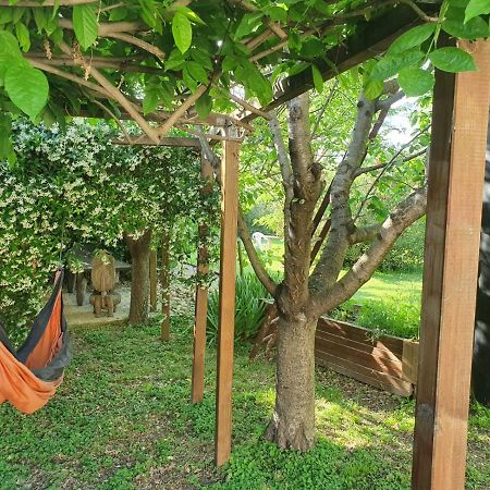 La Cabane du Pesquier en Provence Caumont-sur-Durance Extérieur photo