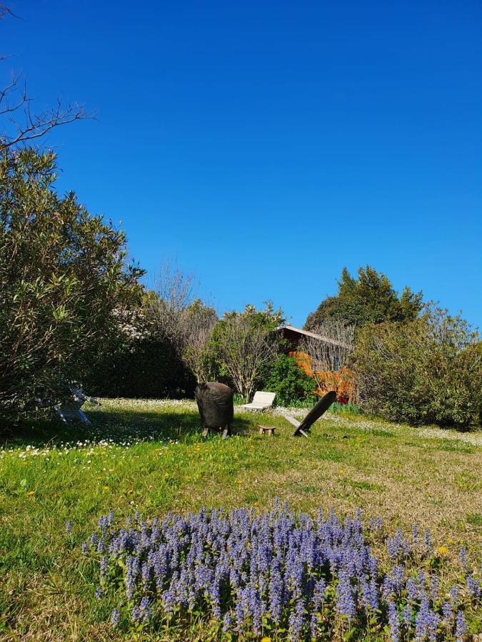 La Cabane du Pesquier en Provence Caumont-sur-Durance Extérieur photo