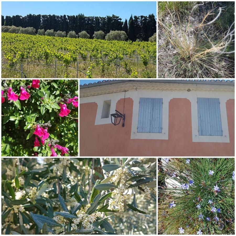 La Cabane du Pesquier en Provence Caumont-sur-Durance Extérieur photo